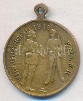 Osztrák-Magyar Monarchia 1914. "Ferenc József - II. Vilmos / Világháború 1914 Emlék" Br me...