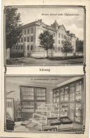 Kőszeg, Ferencz József katolikus főgimnázium, Természetrajzi szertár, belső, Art Nouveau (EK)