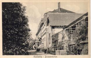 Gizellatelep Dunasanatorium