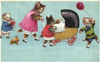 Cat family, Novolito litho