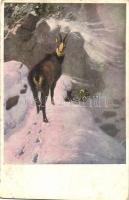 6 db RÉGI motívumlap, vegyes minőség; vadász / 6 old motive cards, mixed quality; hunter