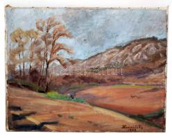 Hranitzky Ilona (1889-?): Tájkép. Olaj, vászon, jelzett, 54×70 cm