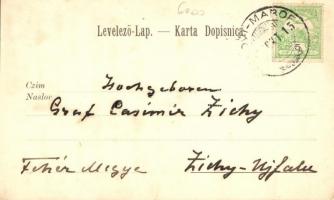 Novi Marof, Schloss / castle