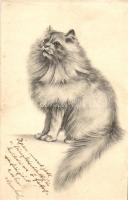 2 db RÉGI motívumlap; macska, hölgy / 2 old motive cards; cat, lady