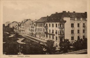 Győr, Bisinger sétány; kiadja Wolf Gyula