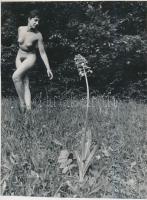 cca 1975 Patak parti fotós parti, 5 db finoman erotikus fénykép, 17x12 cm és 20x14 cm közötti mérete...