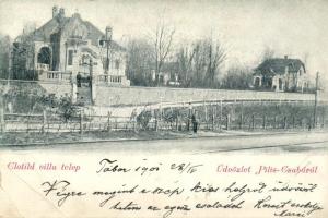 Piliscsaba, Clotild villa telep (EB)