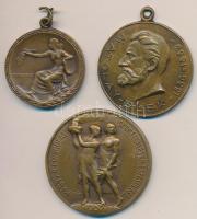 ~1935. "Matolay Elek 1836-1883 / MOTESZ (Magyar Országos Torna Szövetség) Ifjúsági Versenyérme" Br díjérem füllel, hátoldalán "LUDVIG" gyártói jelzéssel (36mm) + Sződy Szilárd (1878-1939) 1936. "Magyar Főiskolai Sportszövetség / Bajnoki Érem - 5000 M.CS. III. 1935/36" Br díjérem, hátoldalán "LUDVIG" gyártói jelzéssel (40mm) + DN "M.A.SZ." Br sportérem füllel, hátoldalán "LUDVIG BP" gyártói jelzéssel (30mm) T:2,2- ü.