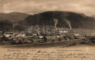 Mürzzuschlag, Phönix-Stahlwerke Joh. E. Bleckmann / steel factory