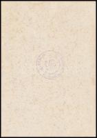 1943 Hitler felvonuláson,korabeli nyomtatvány, verzón horogkeresztes pecsét" Berlin, 1933-1943,...