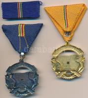 ~1960-1970. "A Haza Szolgálatáért" arany és ezüst fokozata, aranyozott és ezüstözött, zomá...