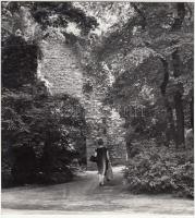 cca 1950 Budapest, Margitsziget, 6 db jelzetlen kép Kotnyek Antal (1921-1990) fotóriporter hagyatéká...