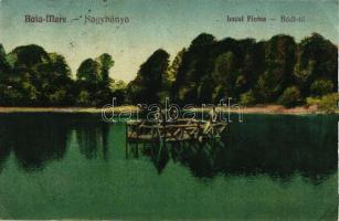 Nagybánya, Bódi tó / lake (EK)