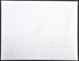 cca 1980 A Balaton télen, nyáron és ősszel, 3 db fotó, 29x39 cm