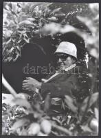 cca 1980 Weöres Sándor (1913-1989) költő, író házának kertjében, Kőszegi Gyula felvétele, 40x30 cm