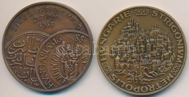 Fritz Mihály (1947-) 1988. "20 éves a MÉE Fejér Megyei Szervezete / Veretett a török kivonulásának 300. évfordulóján" Br emlékérem (42,5mm) + Peternák Gusztáv (1928-) 1988. "MÉE Budapest / Hungarie Strigonium Metropolis" Br emlékérem (42,5mm) T:1-