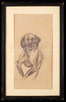 Heyer jelzéssel: Kutya portré. Ceruza, papír, 28×14 cm