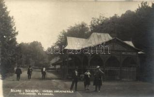 Bikszád, Bicsad, Ivócsarnok, Forrás / Drinking hall, source, photo