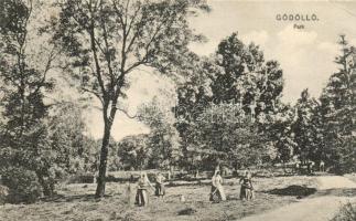 Gödöllő, park (EK)