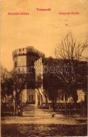 Temesvár, Hunyadi bástya / tower (EK)