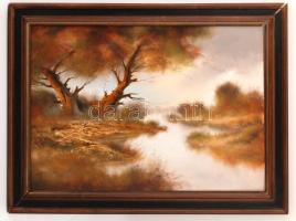 Csáky Lajos(1950-): Rejtelmes ősz. Olaj, farost, fa keretben, jelzett, 49x69 cm