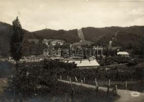 Ózd, Rimamurányi Salgótarjáni Vasmű Rt. Farkaslyuki kőszénbánya (fa)