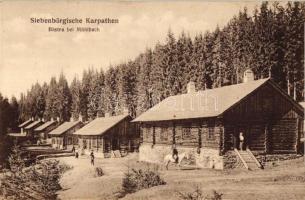 Bisztra, Alsó Telep (fl)