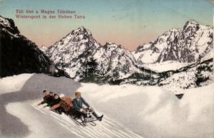 Tátra, téli élet / winter sport, sledging, Divald & Monostory (EB)