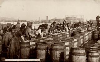 Lowestoft, Scotch Herring Packers