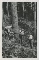 Kőrösmező, Hucul favágók / Hutsul woodcutters