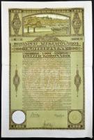 Budapest 1920. "Budapest Székesfőváros" 4 1/2%-os kötelezvénye 1000K-ról magyar és német nyelven szelvényekkel, bélyegzéssel T:II-
