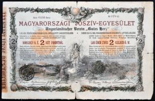 Budapest 1888. "Magyarországi Jószív Egyesület" sorsjegye 2Ft-ról + 1917. "A Magyar K...