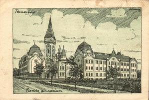 Temesvár, Piarista gimnázium / Secondary school s: Lamoss (fa)