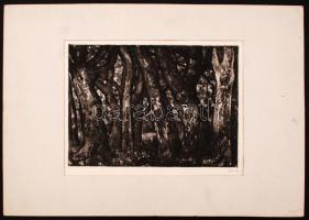 Imre István: Sűrű erdő. Rézkarc, papír, jelzett, 28×38 cm