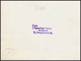 Tiszavölgyi József: A BSzKRT SZIT ifjúmunkásai üdvözlik a VIT. küldötteit! jelzett fotó, 9x12cm