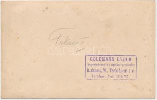 cca 1920-30 Goldmann Gyula: Takács II. fotó, verzón felirattal, jelzett, 11x17cm