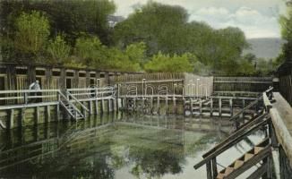 Nagydisznód, Heltau; Schwimmschule, Kunstanstalt Jos. Drotleff / swimming pool