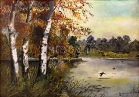 Neogrády jelzéssel: Nyár fák a tónál. Olaj, farost, 33×48 cm