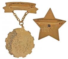 ~1970. "A Szocialista Kultúráért" zománcozott fém kitüntetés + ~1980. "Kiváló Termelő...