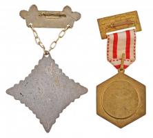 Ausztria 1974. "Túranap Timelkam - Manfred Schmidt" aranyozott Br túrajelvény mellszalagga...