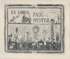 Gross Arnold (1929-2015): Ex libris, rézkarc, papír, 7×10,5 cm