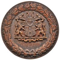 Német 3. Birodalom 1942. "Hannover / Olaszország-Spanyolorszá-Magyarország-Németország 1942. 7. 25./26." Br emlékérem, hátoldalán "LEHMANN & WUNDENBERG HANNOVER" gyártói jelzéssel (60,5mm) T:2,2-  German Third Reich 1942. "Hannover / Italy-Spain-Hungary-Germany 25./26. 7. 1942." Br commemorative medal with "LEHMANN & WUNDENBERG HANNOVER" makers mark on its back (60,5mm) C:XF,VF