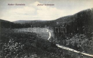 Modor-Harmónia, Modra; Dolina Erdőrészlet. May Samu kiadása / forest view
