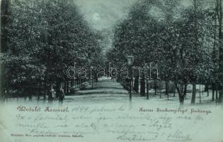 1899 Kassa, Széchenyi liget fősétánya; Breitner Mór kiadása / park