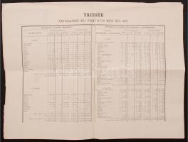 1873 Trieszt, a kikötő forgalmának statisztikája / 1873 Statistics of the port in Italian