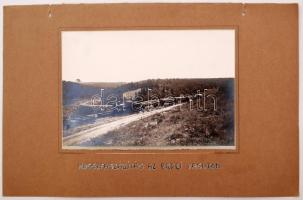 cca 1910 Erdély, Ménesvölgy Hosszfaszállítás. Nagyméretű fotó kartonon. Képméret: 28x20 cm