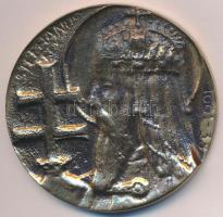 2000. "Szt. István / Millenium Hungary 2000" Br emlékérem (62,5mm) T:2