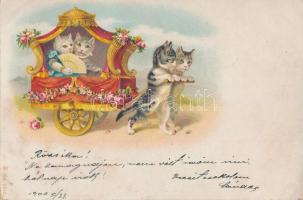 Cats, cart, litho