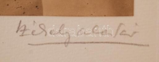 Székely Aladár (1870-1940): Ismeretlen katonatiszt portréja, kartonra kasírozott fotó, jelzett, fotó...