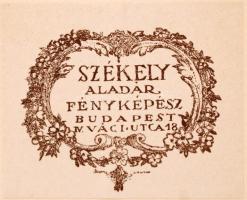 Székely Aladár (1870-1940): Ismeretlen katonatiszt portréja, kartonra kasírozott fotó, jelzett, fotó...